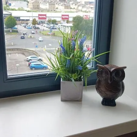 Bliss - Contractor 314 公寓 *